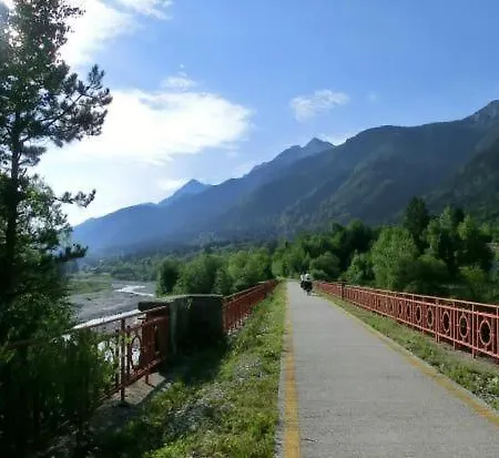 Greenlife Tarvisio
