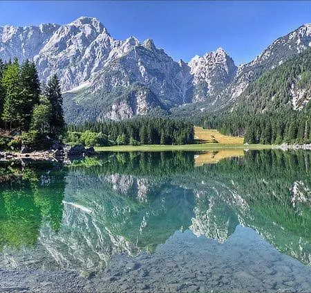 Greenlife Tarvisio