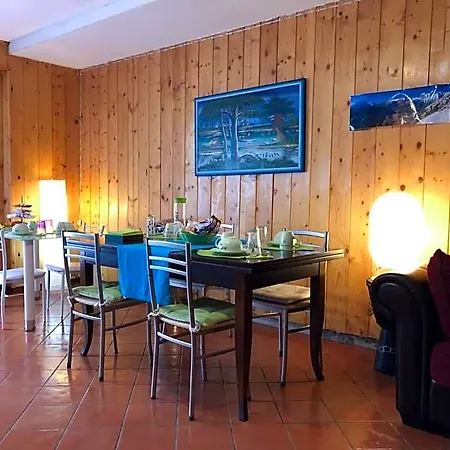 Greenlife Tarvisio