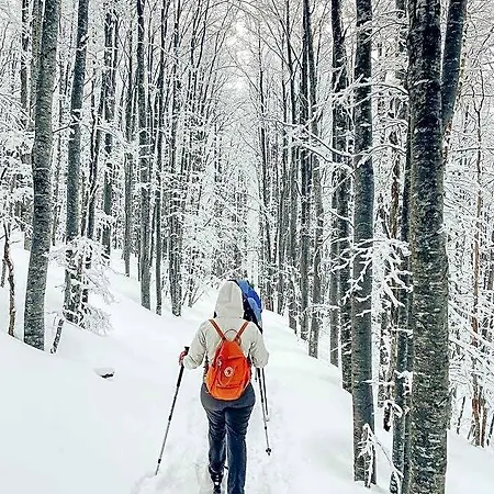 Greenlife Oda ve Kahvaltı Tarvisio