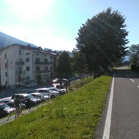 Greenlife Tarvisio