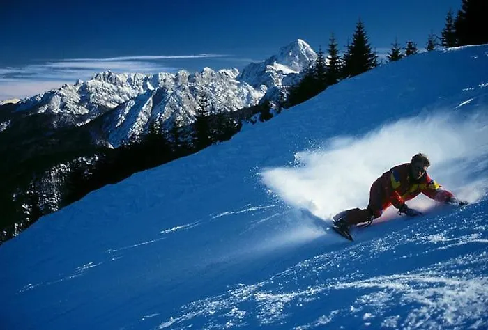 Nocleg ze śniadaniem Greenlife